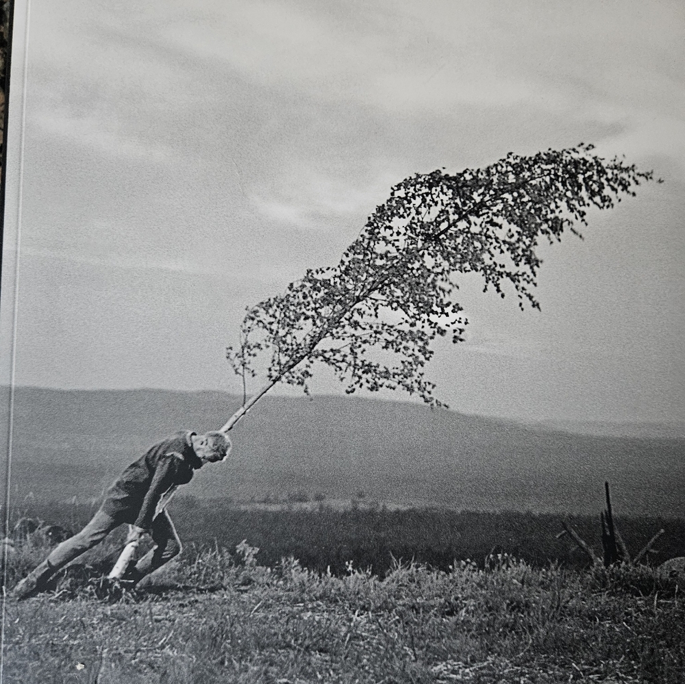 Ingmar Bergman's Cinema (The Criterion Collection)